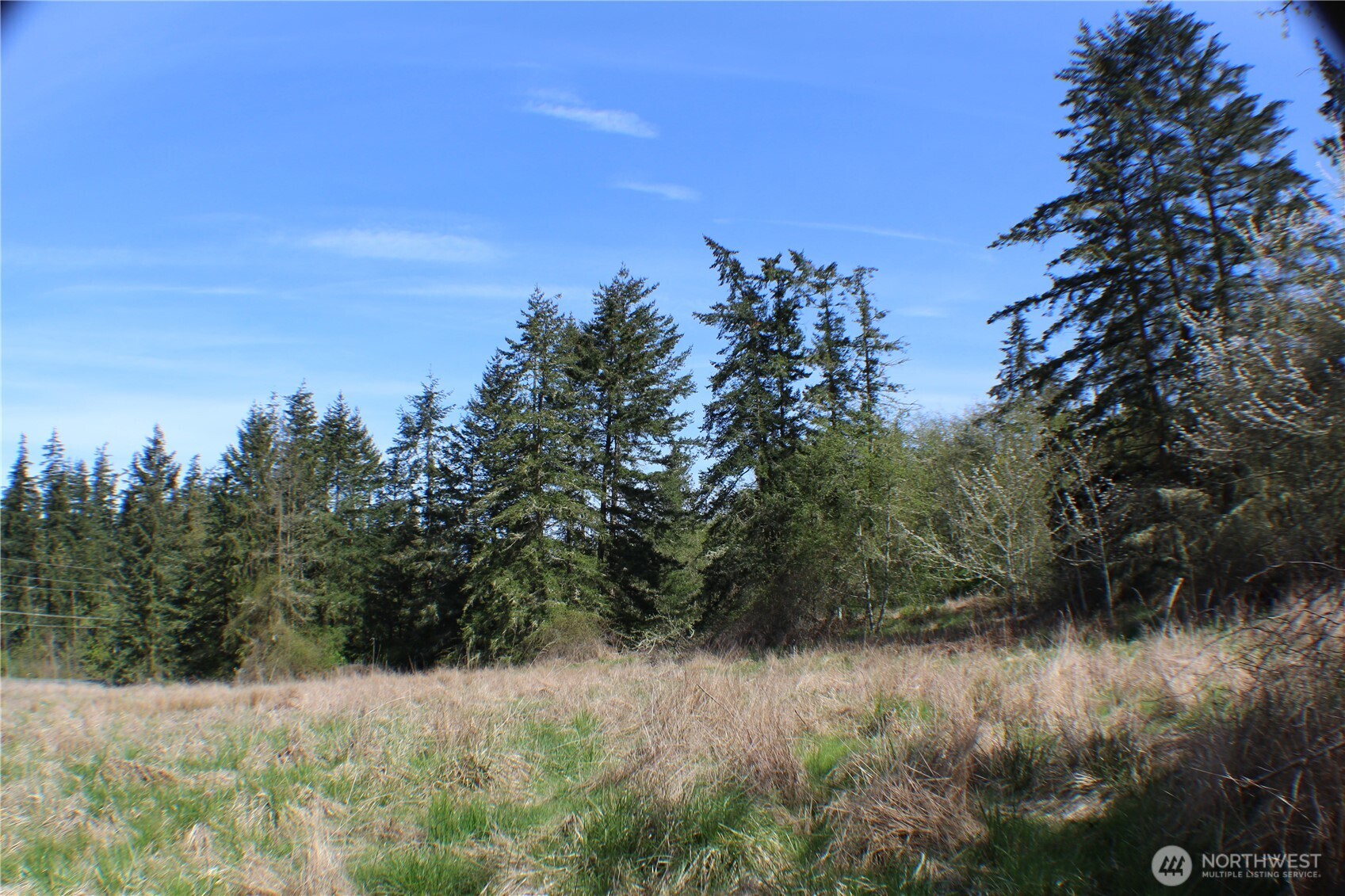 999 Oso Vista Court Property Photo 10