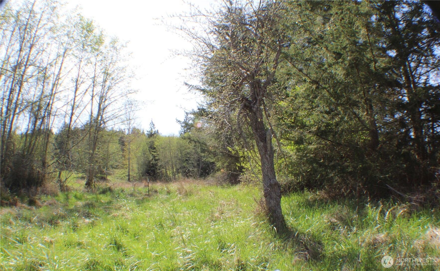 999 Oso Vista Court Property Photo 12