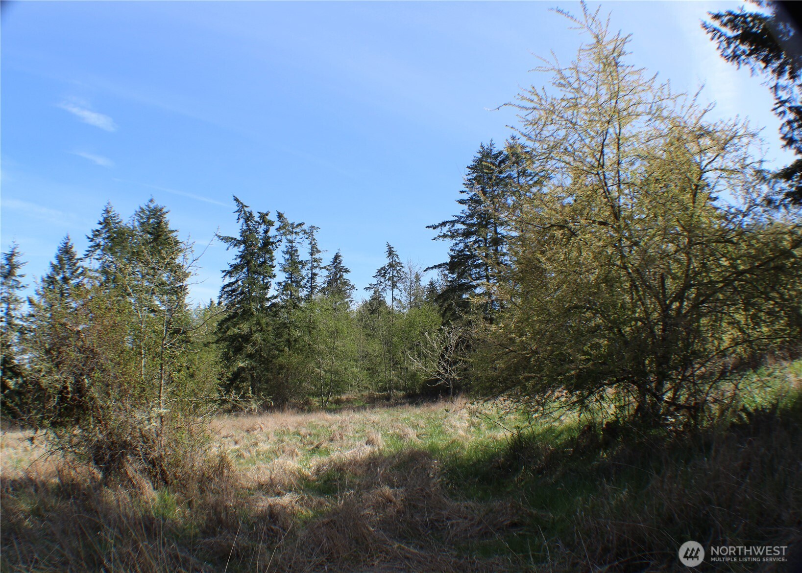 999 Oso Vista Court Property Photo 15
