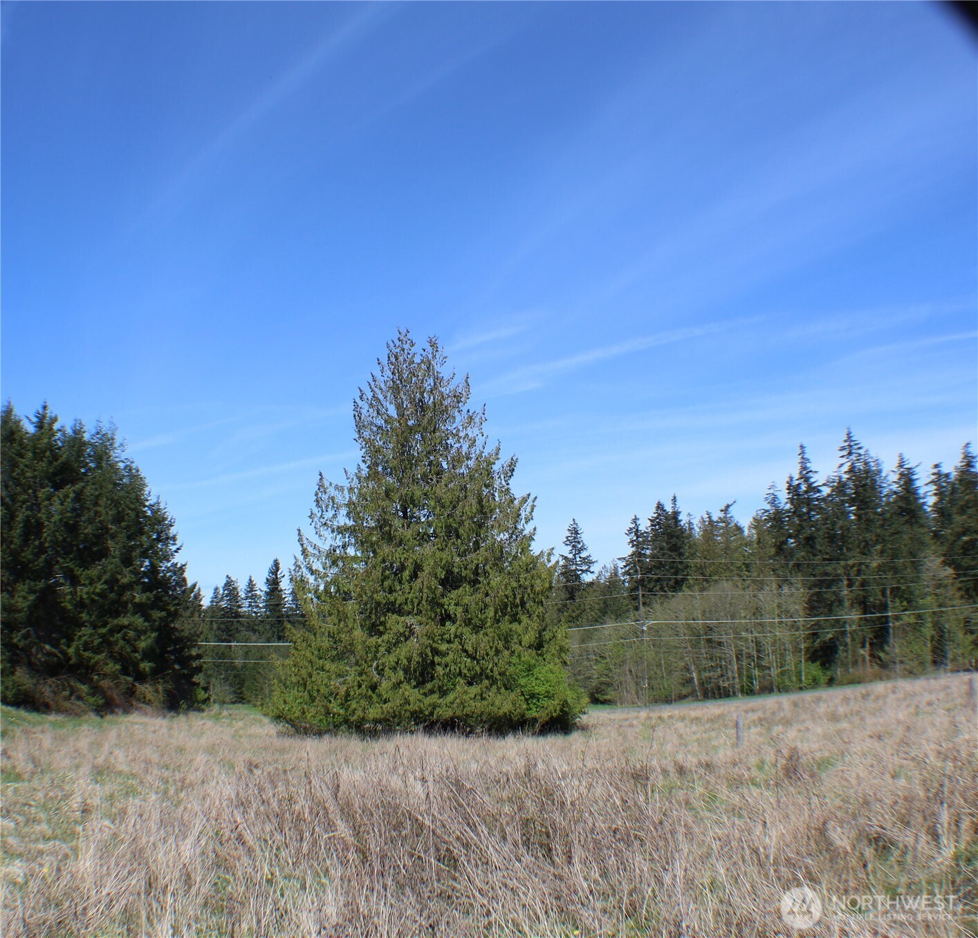 999 Oso Vista Court Property Photo 16