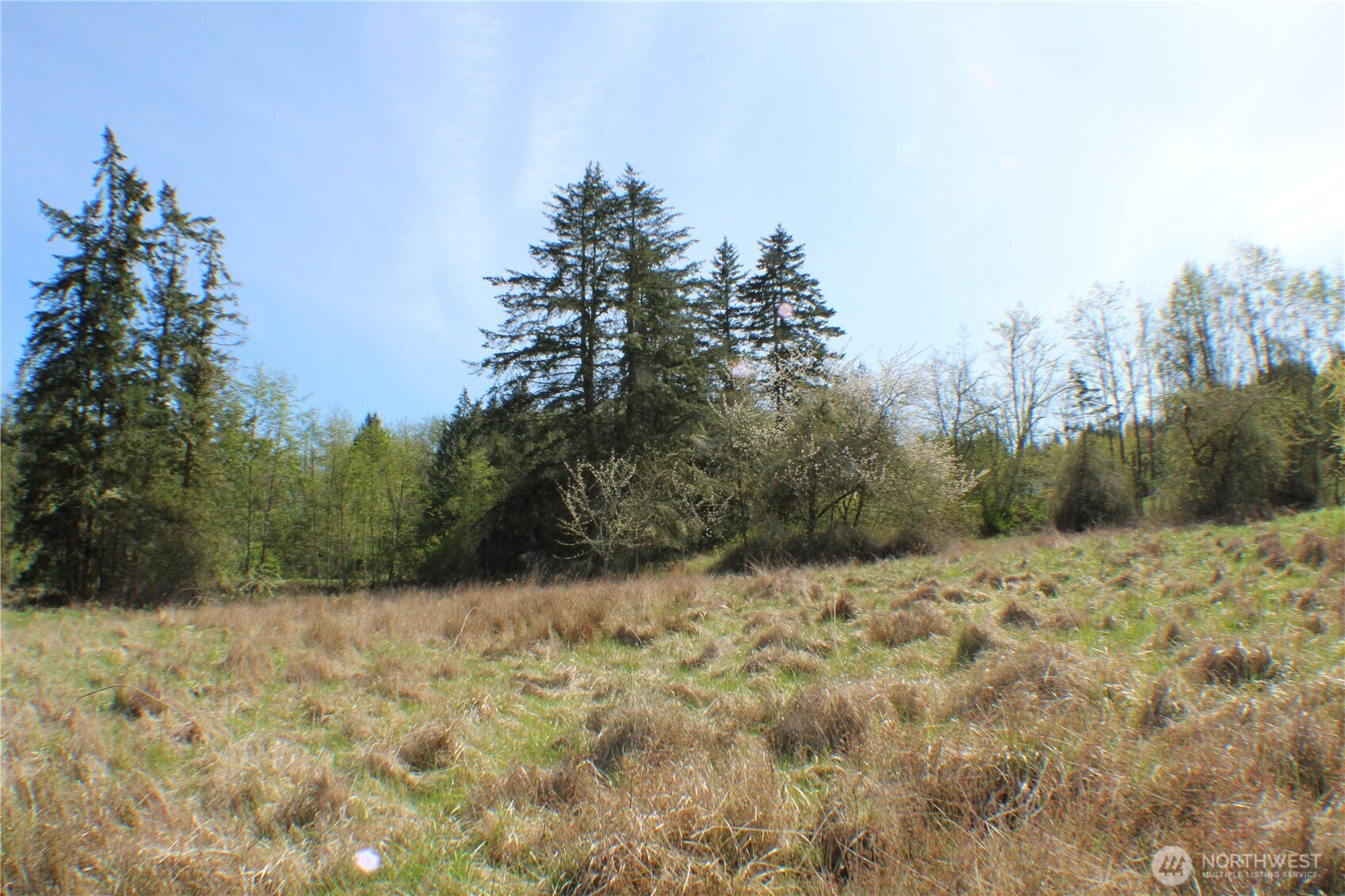 999 Oso Vista Court Property Photo 17