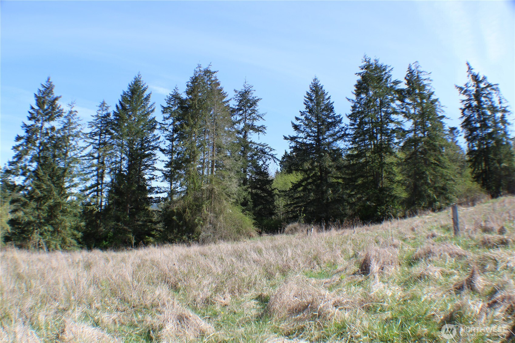 999 Oso Vista Court Property Photo 18
