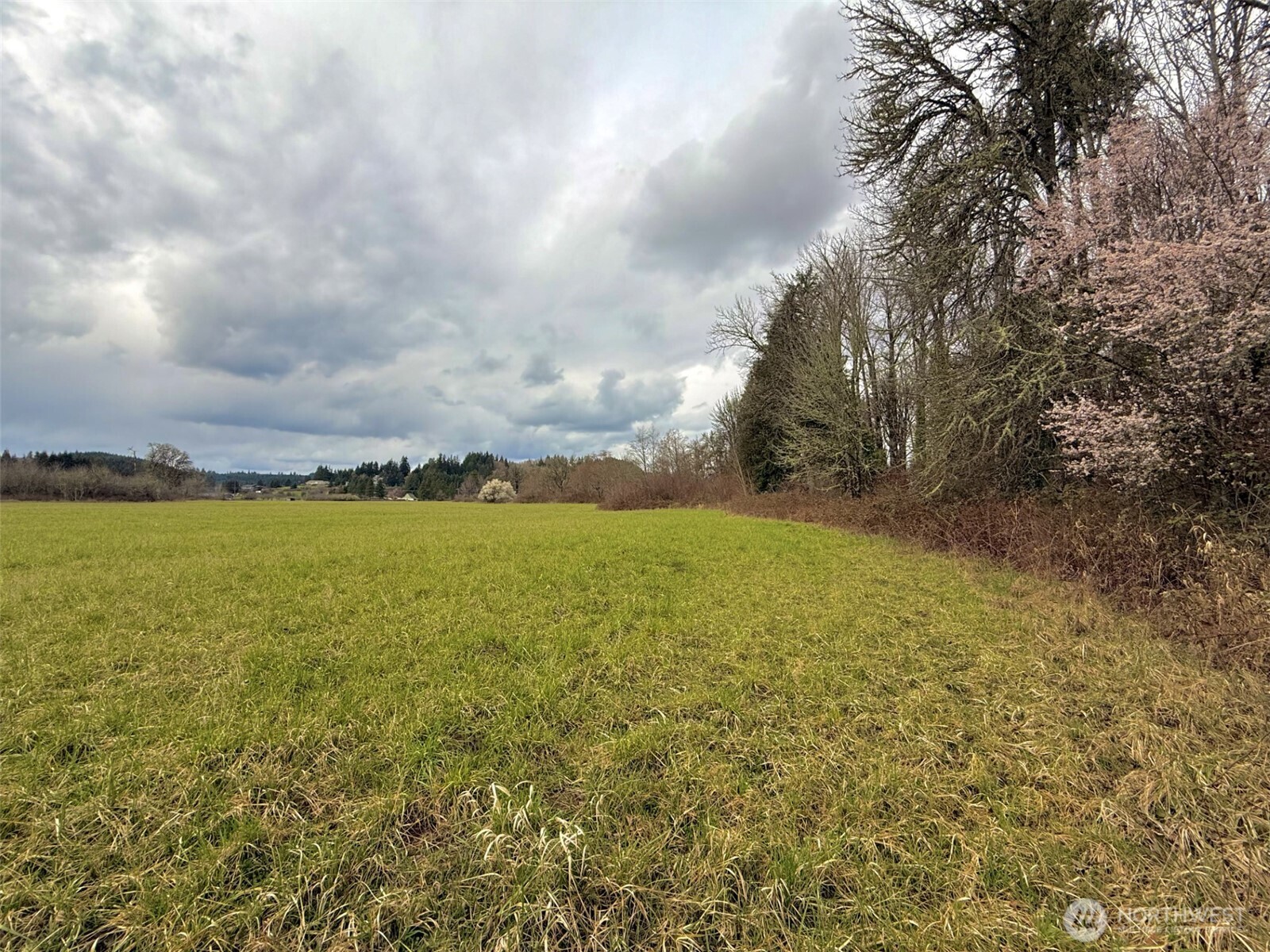 0 Howard Avenue Property Photo 6