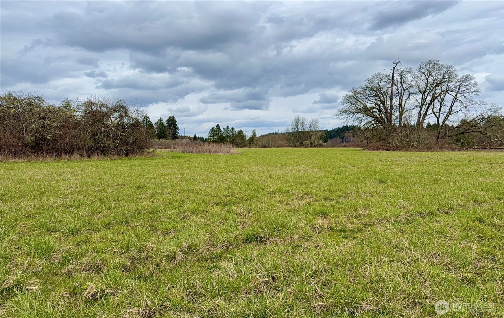 0 Howard Avenue Property Photo 8