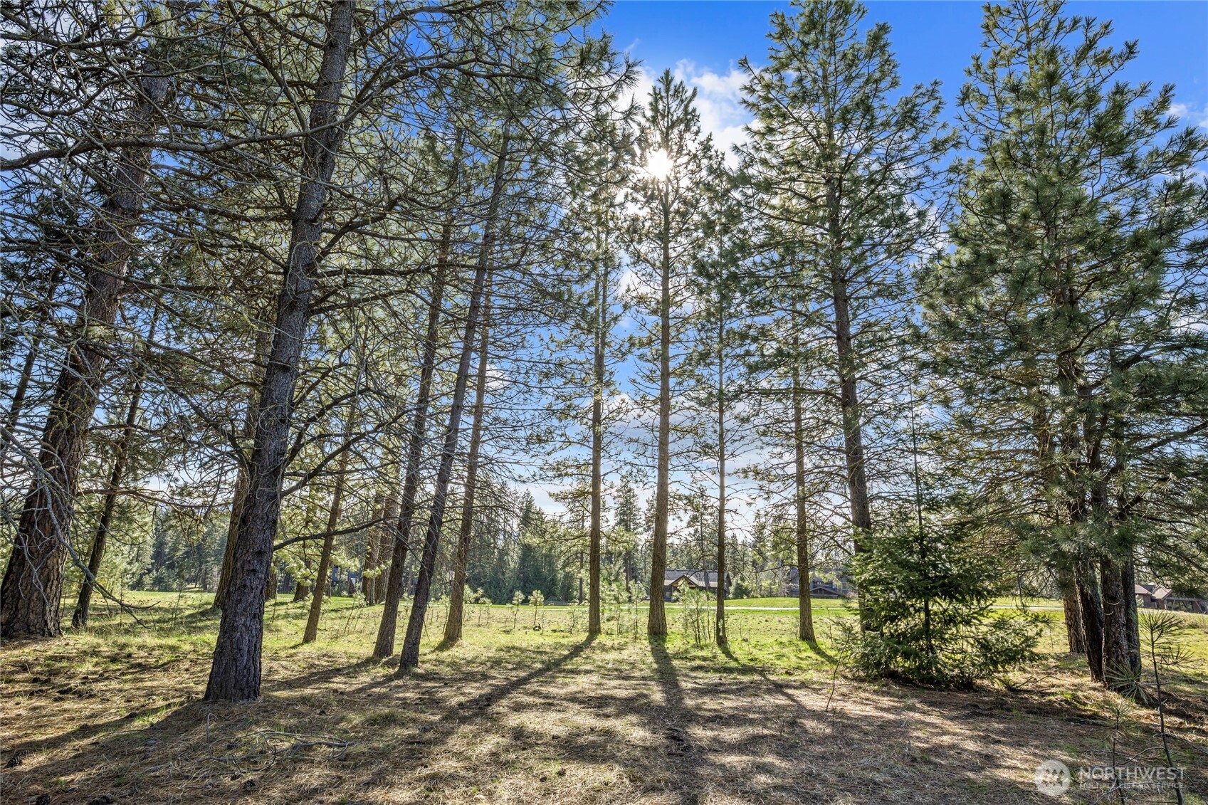 240 Monabel Court Property Photo 7