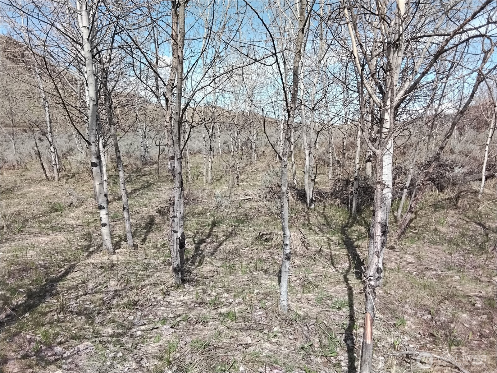 44 Palmer Mountain Road Property Photo 1