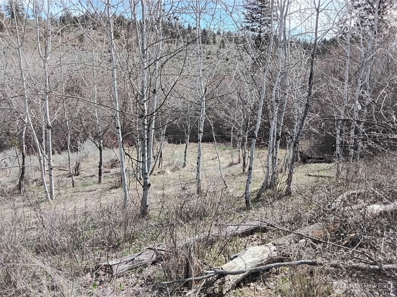 44 Palmer Mountain Road Property Photo 2