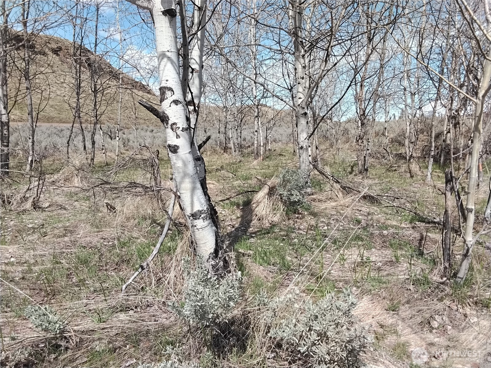 44 Palmer Mountain Road Property Photo 3