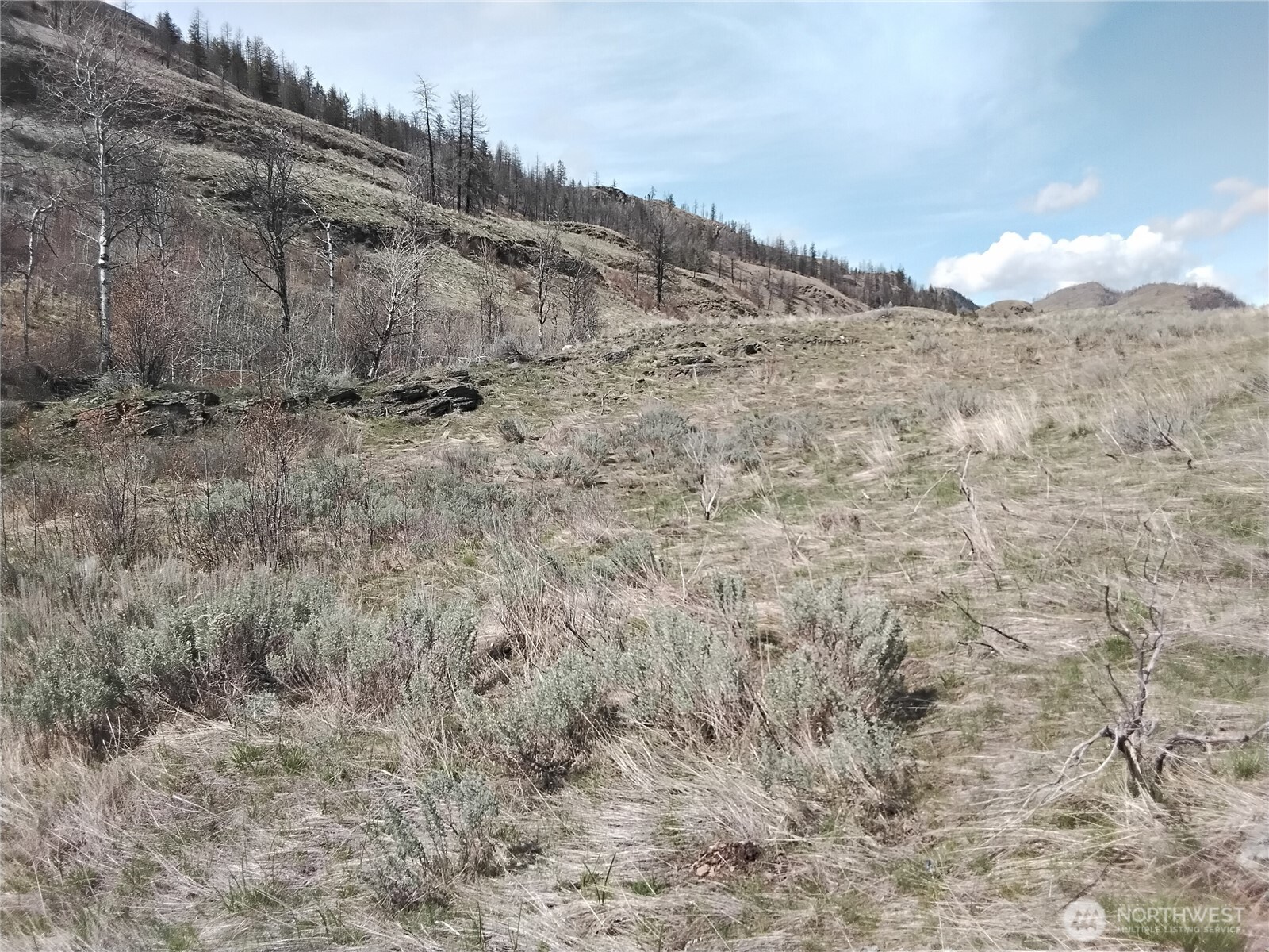 44 Palmer Mountain Road Property Photo 5