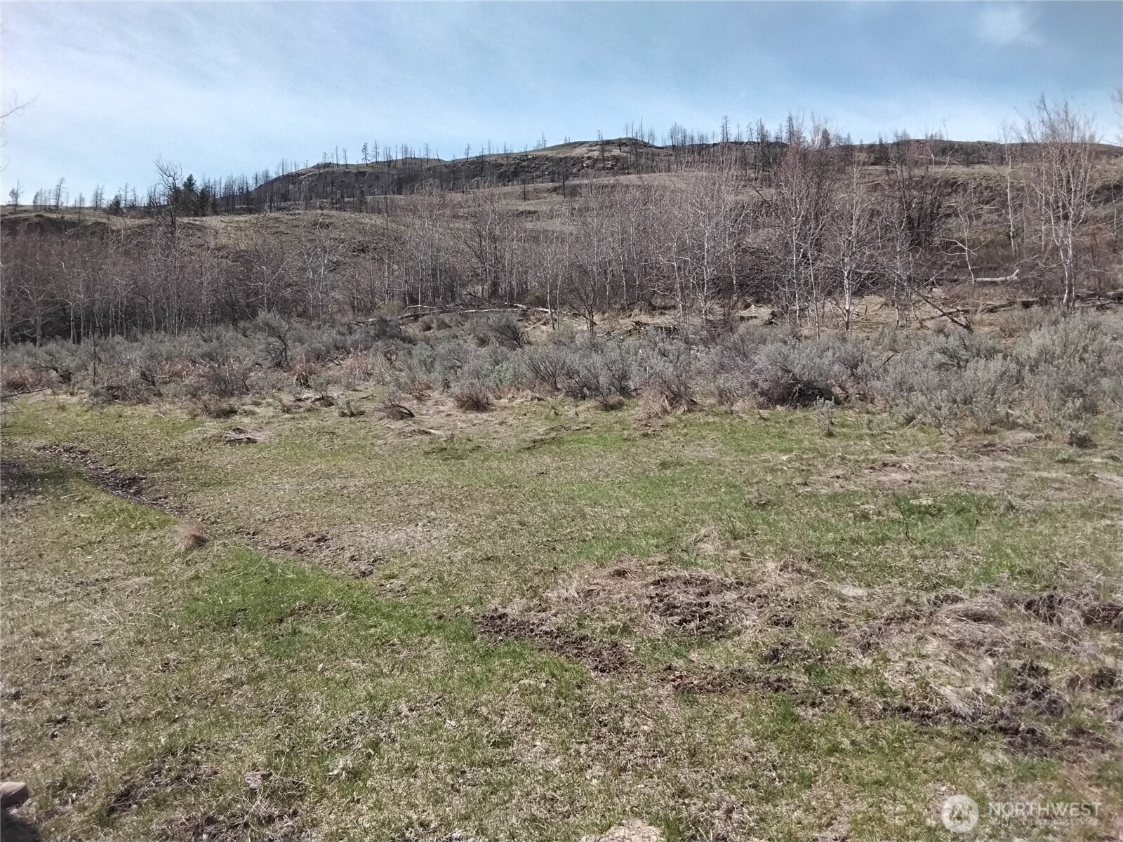44 Palmer Mountain Road Property Photo 6