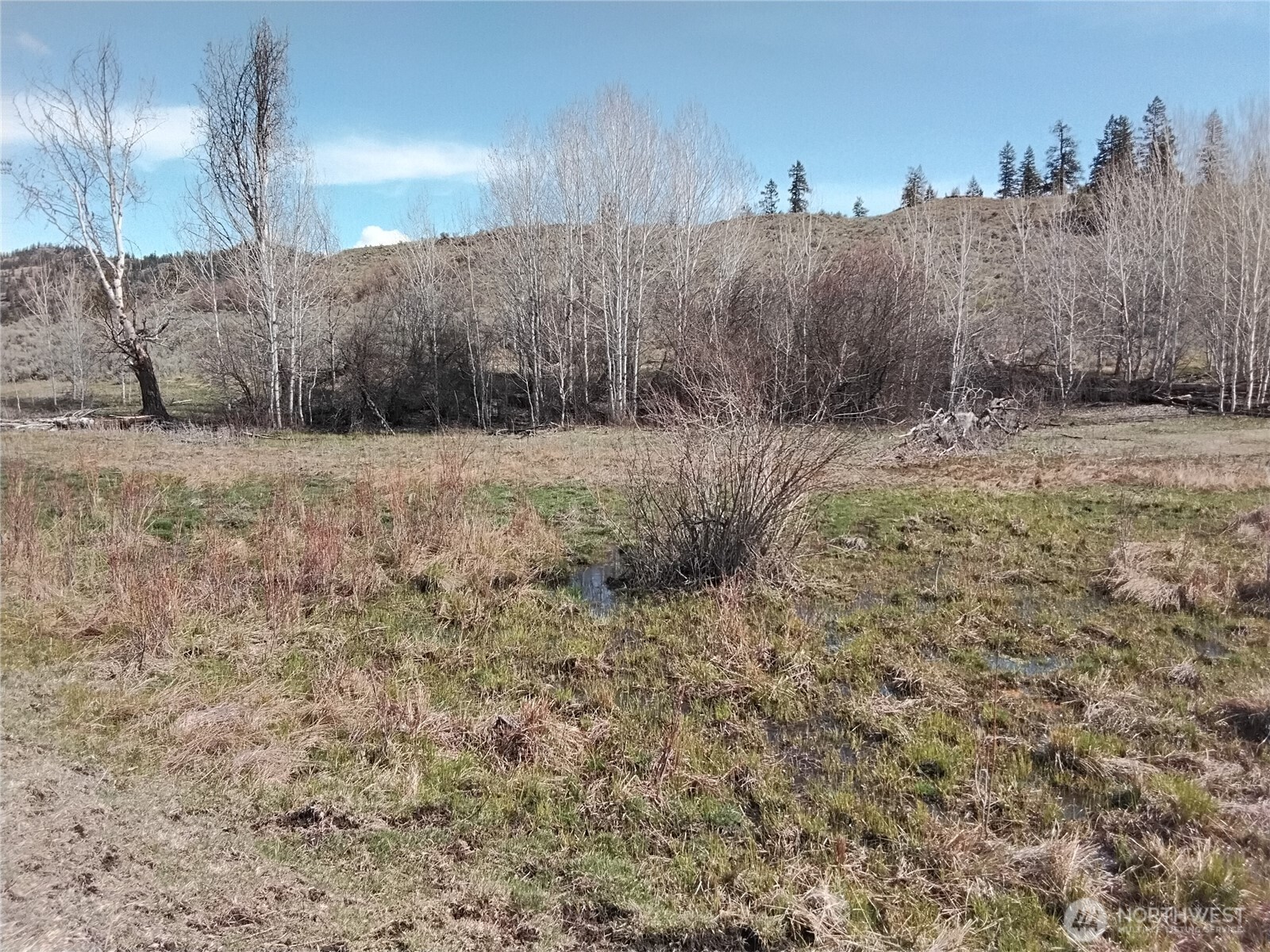 44 Palmer Mountain Road Property Photo 7