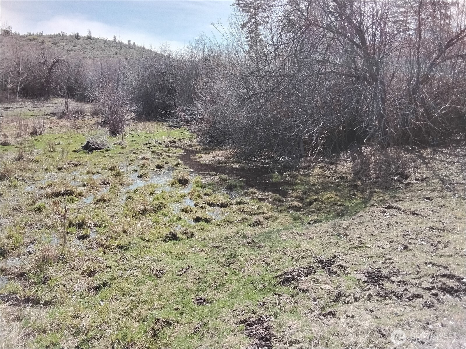 44 Palmer Mountain Road Property Photo 8