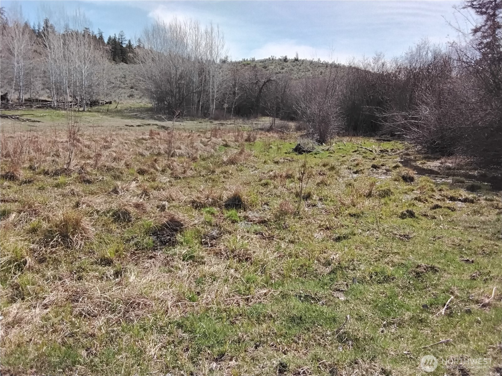 44 Palmer Mountain Road Property Photo 9