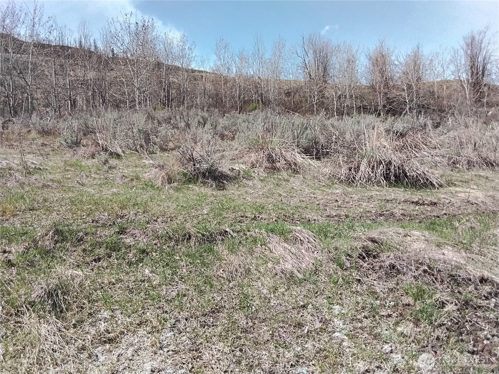 44 Palmer Mountain Road Property Photo 10