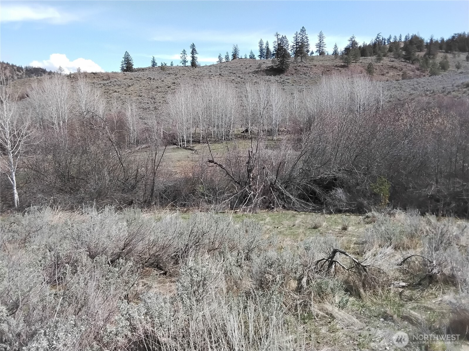44 Palmer Mountain Road Property Photo 11