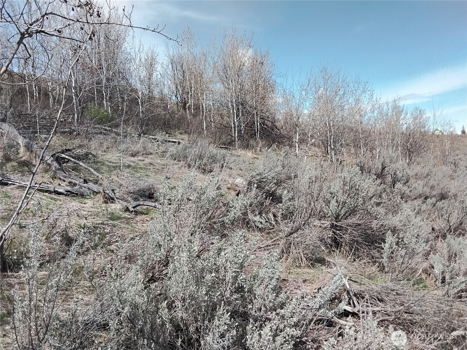 44 Palmer Mountain Road Property Photo 14