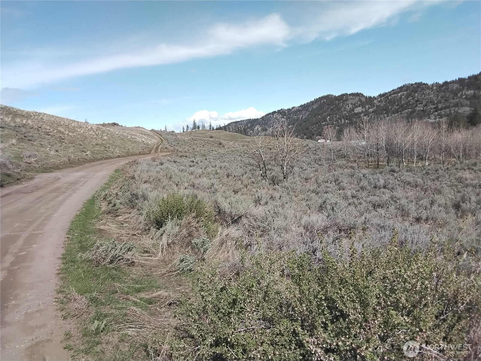 44 Palmer Mountain Road Property Photo 17