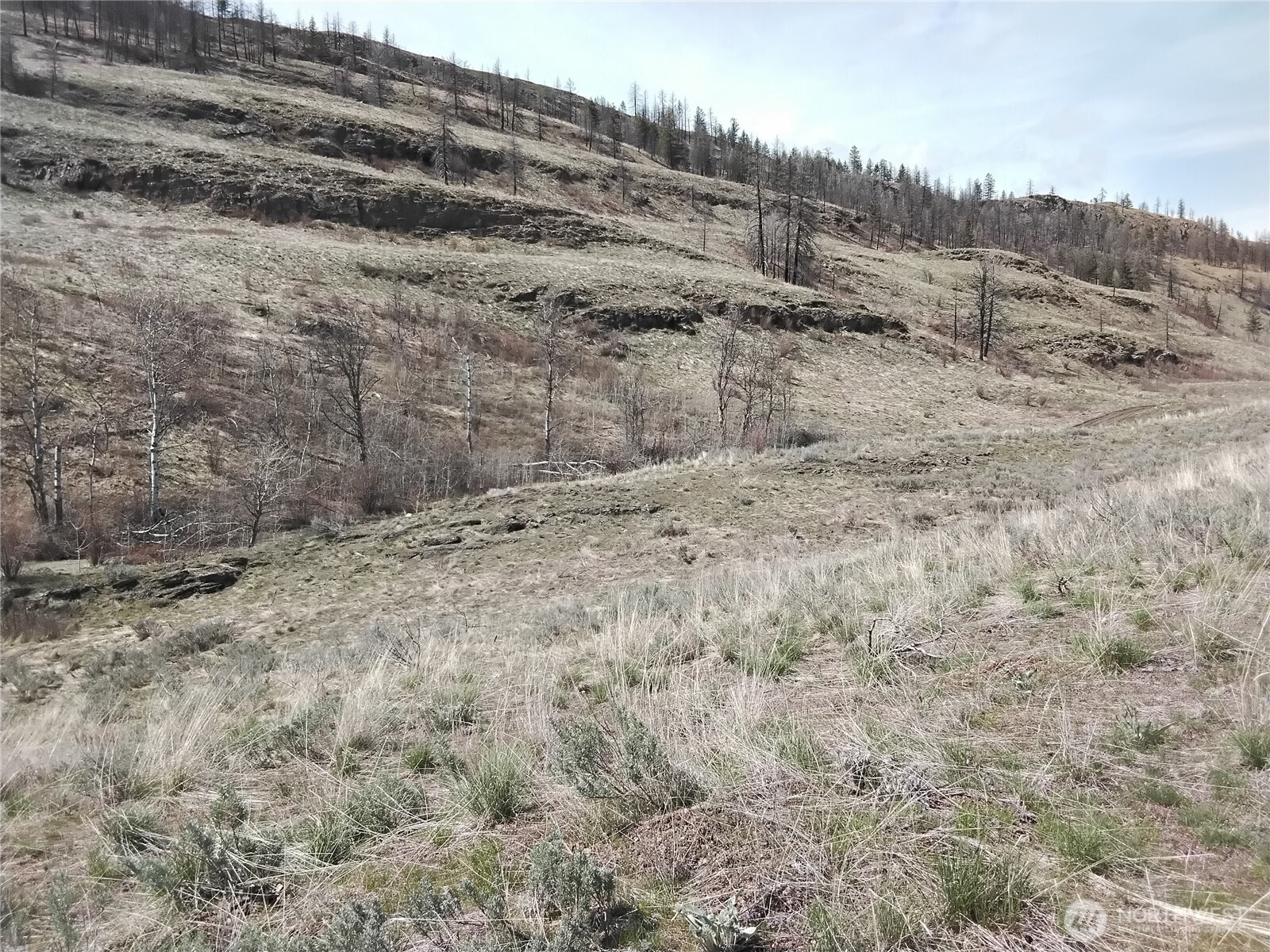 44 Palmer Mountain Road Property Photo 23