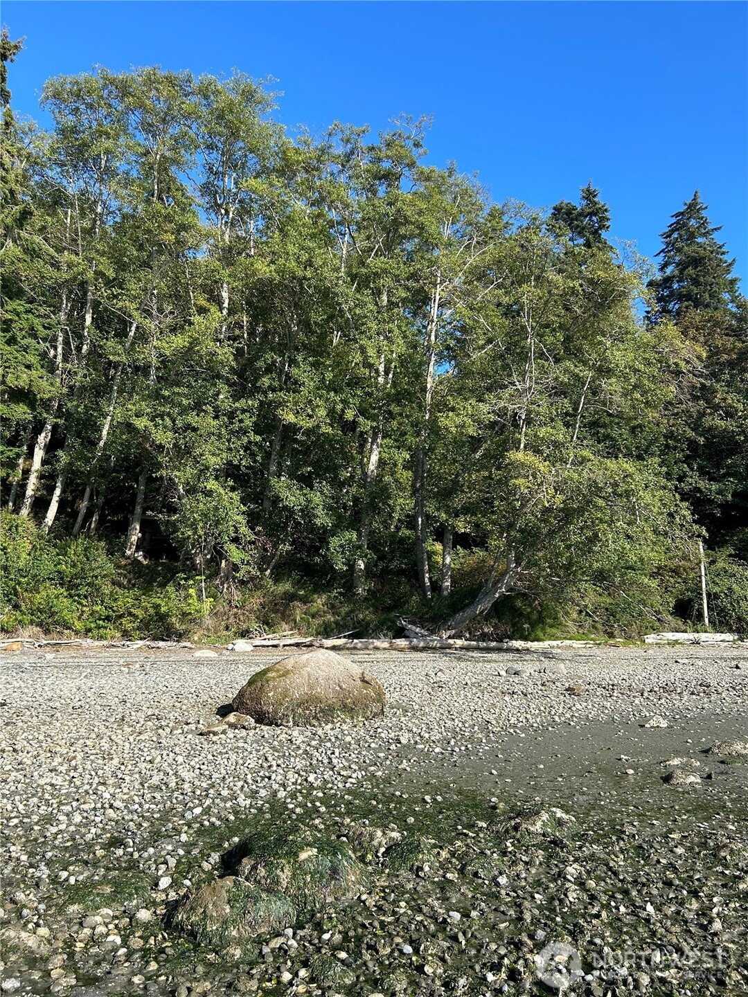 111 Seven Sisters Beach Property Photo 3