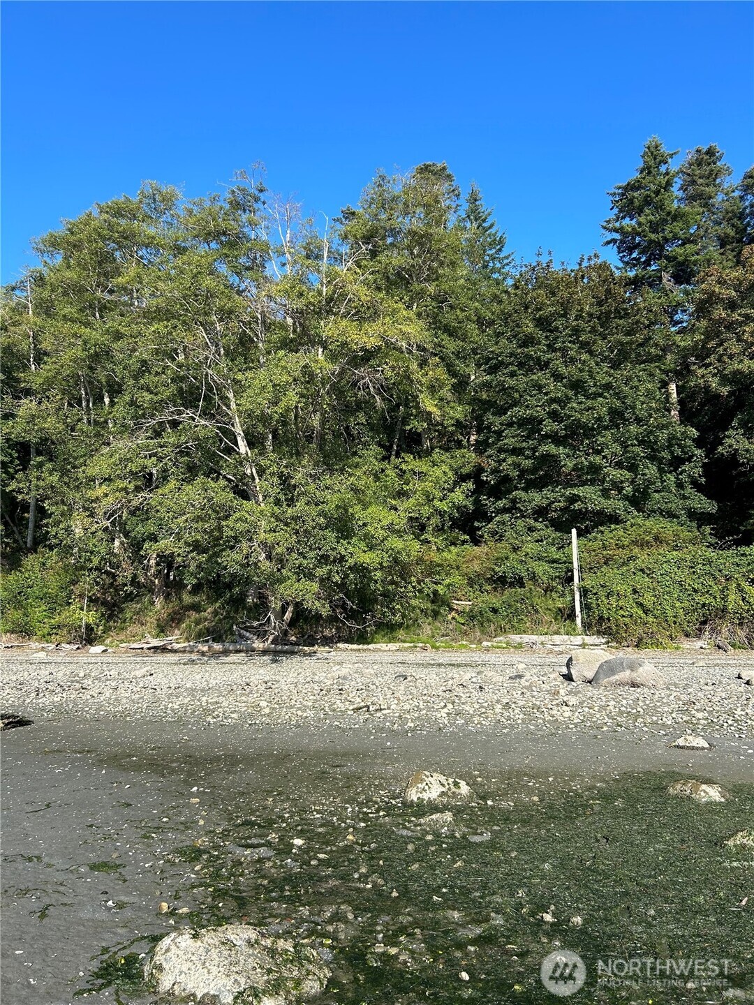 111 Seven Sisters Beach Property Photo 4