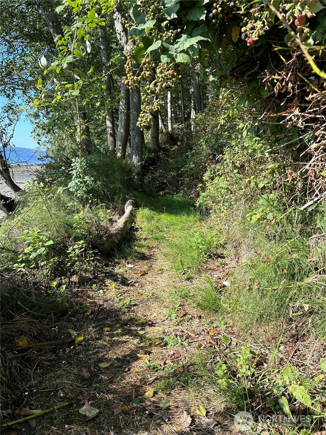 111 Seven Sisters Beach Property Photo 6