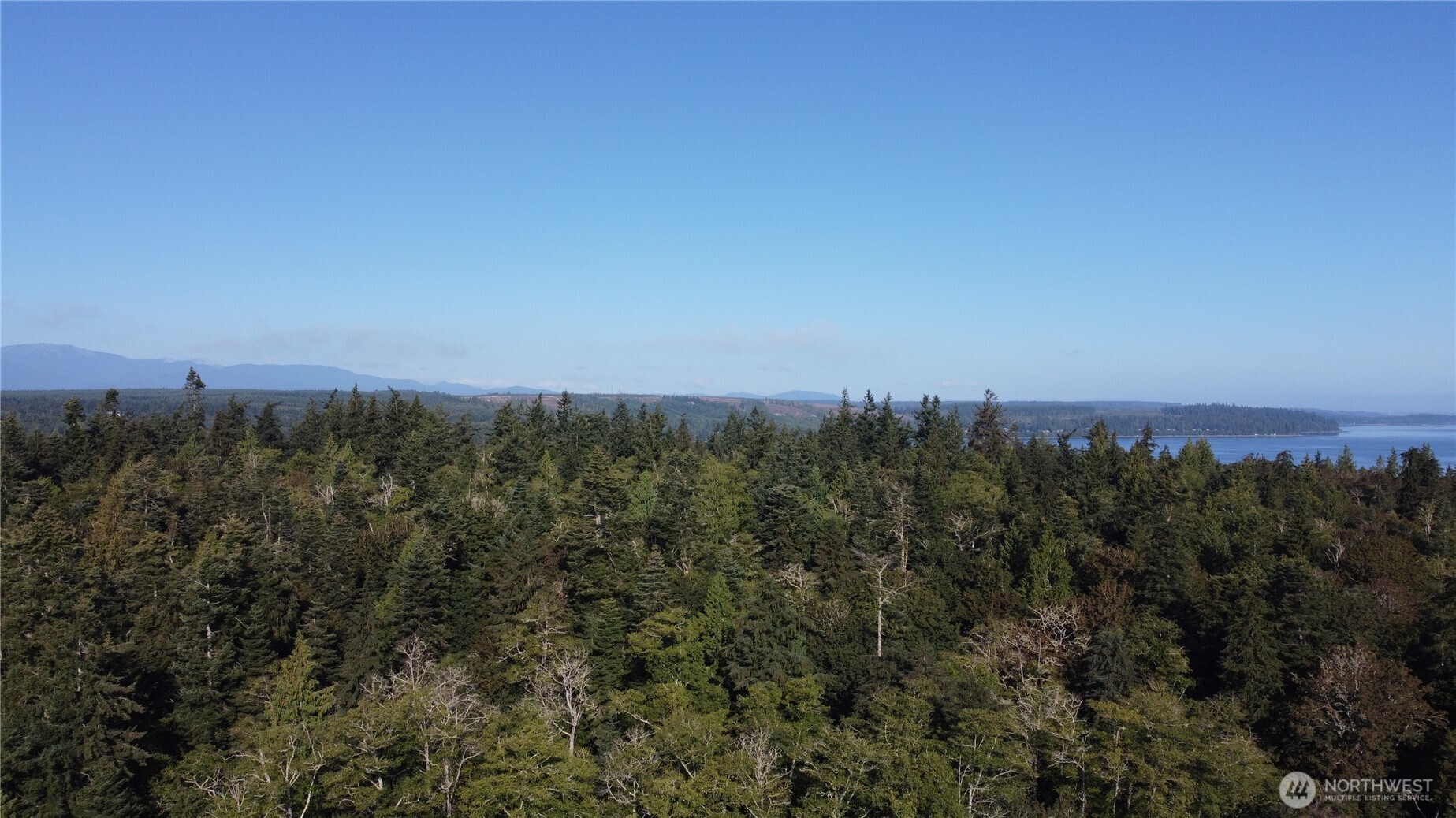 111 Seven Sisters Beach Property Photo 10