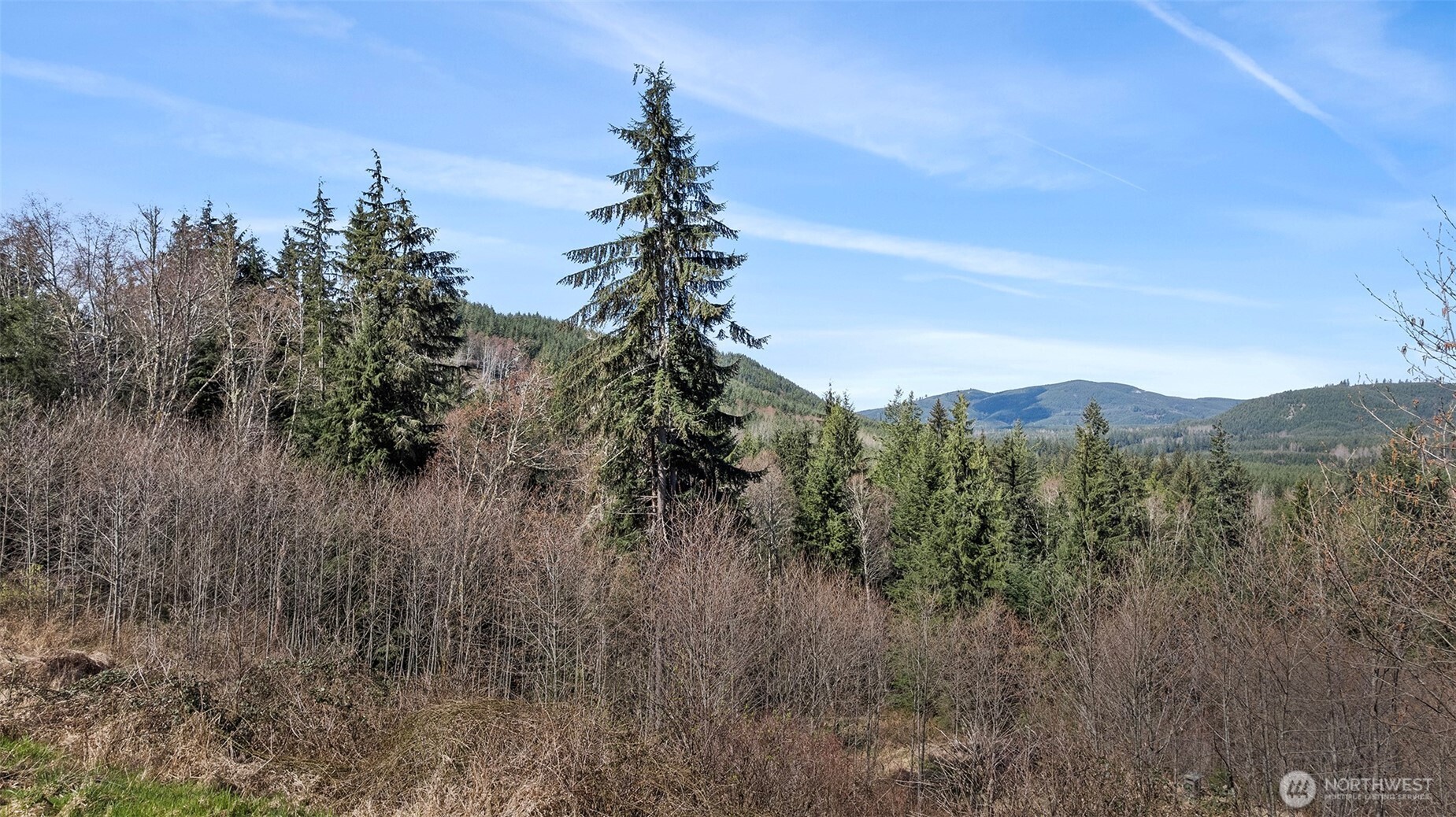 19203 456th Street Property Photo 8