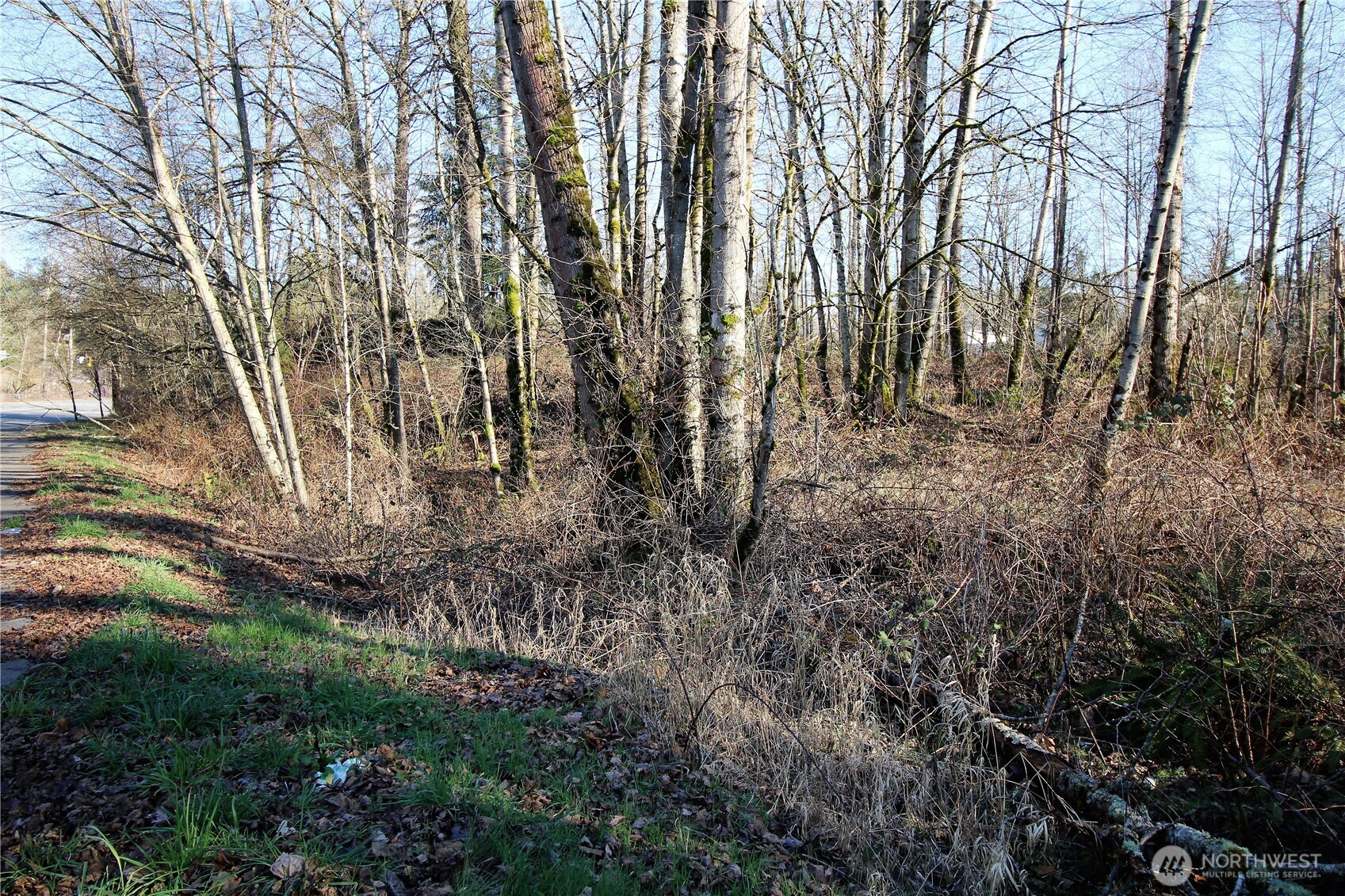13419 Se Petrovitsky Road Property Photo 8