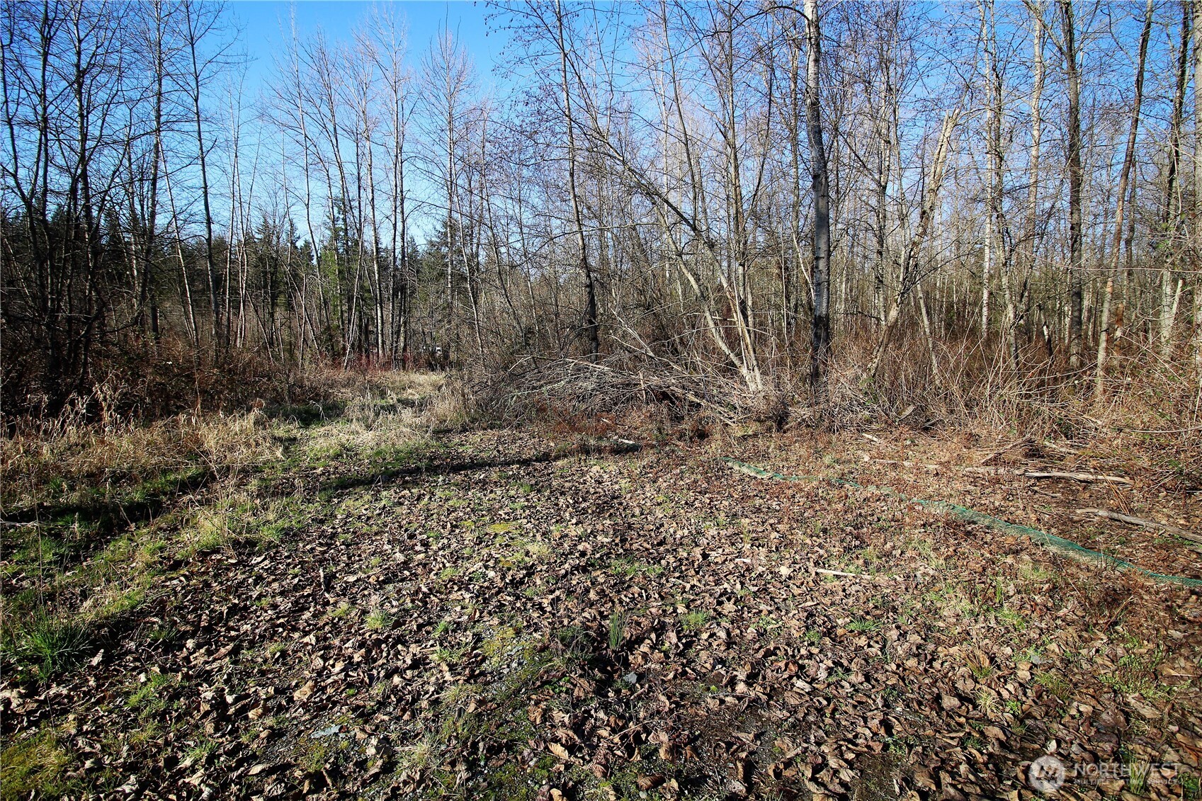 13419 Se Petrovitsky Road Property Photo 11