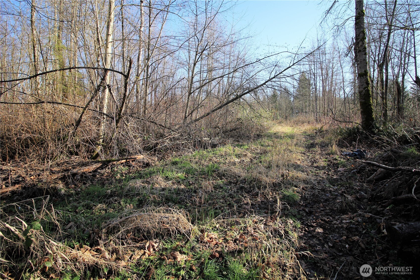 13419 Se Petrovitsky Road Property Photo 13