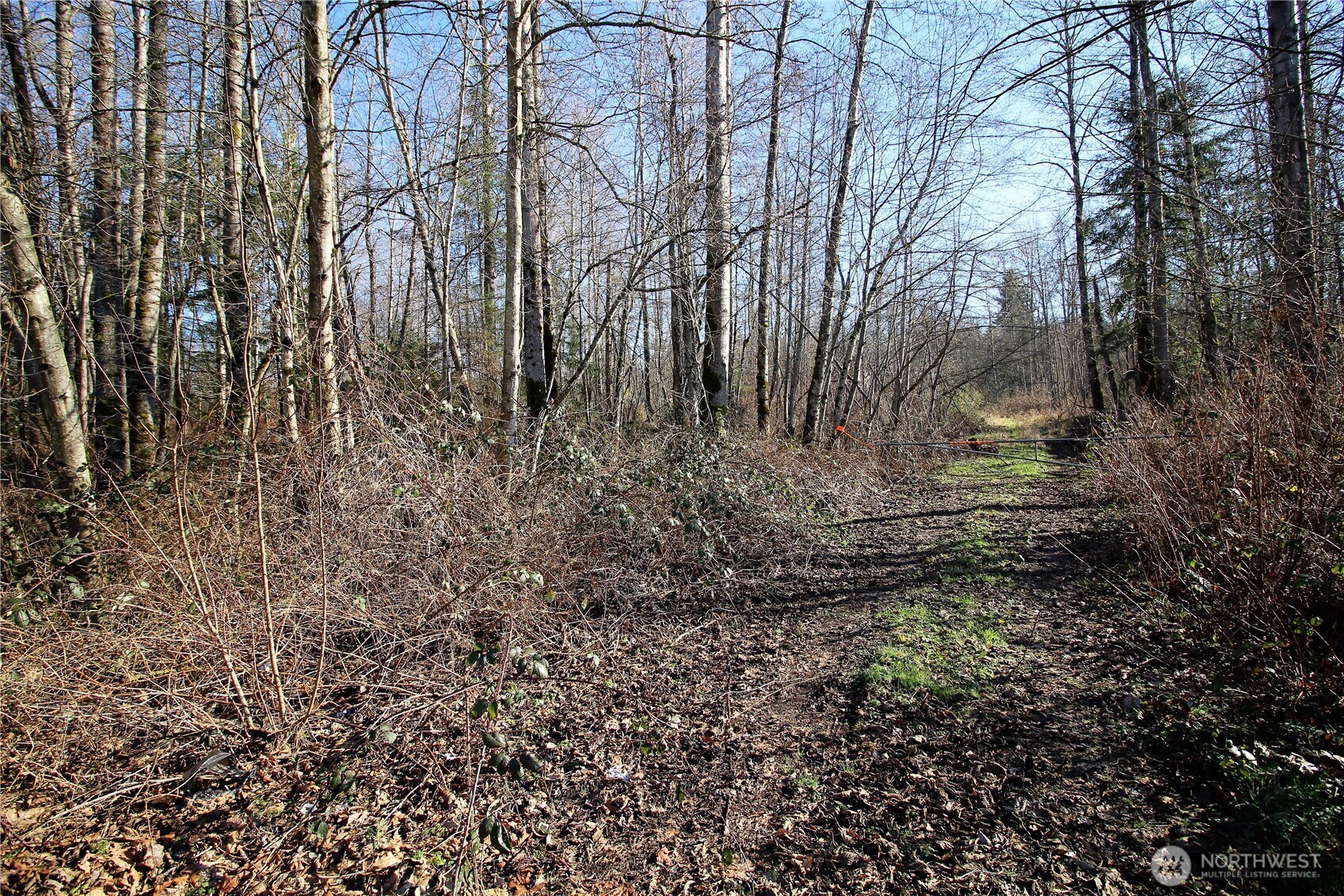 13419 Se Petrovitsky Road Property Photo 14