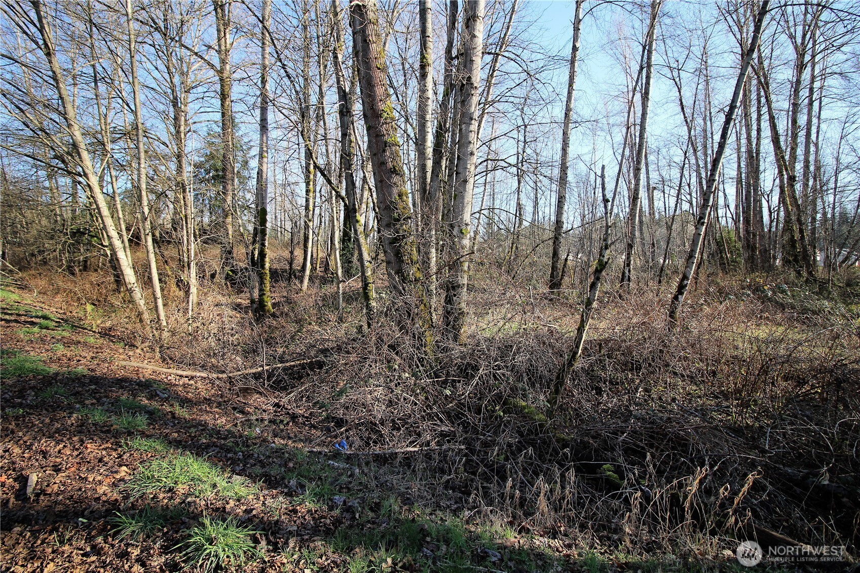 13419 Se Petrovitsky Road Property Photo 15