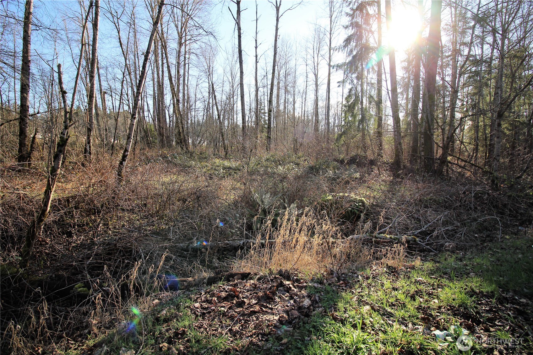 13419 Se Petrovitsky Road Property Photo 16