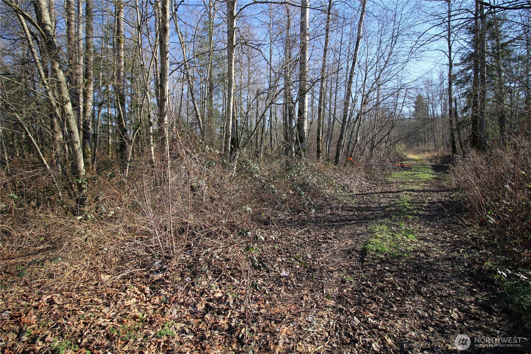 13419 Se Petrovitsky Road Property Photo 19