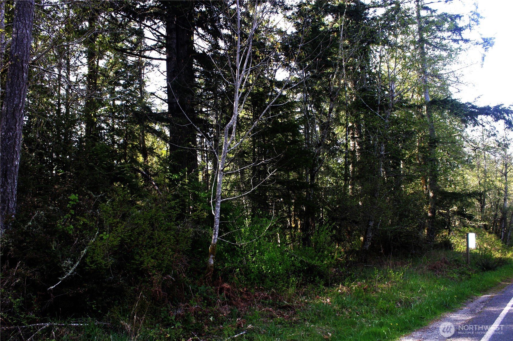 0 Go Onna Property Photo 1
