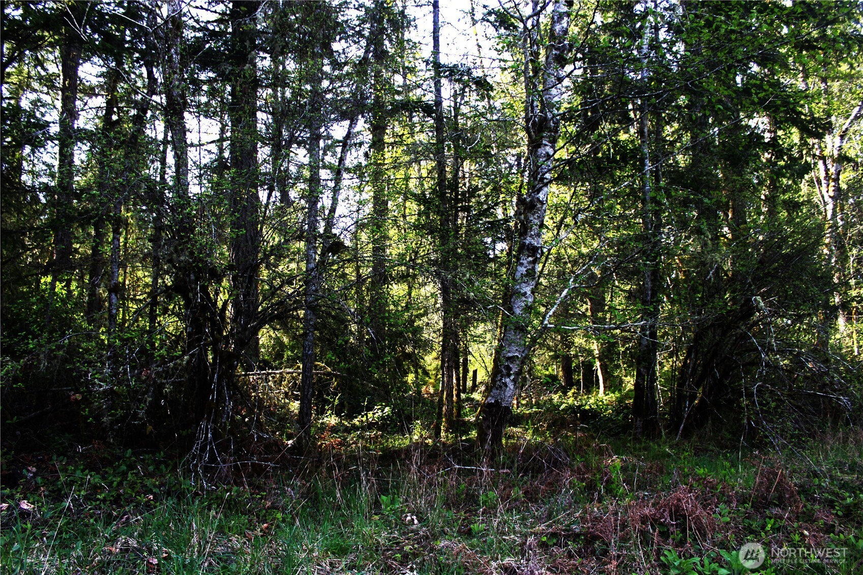 0 Go Onna Property Photo 3