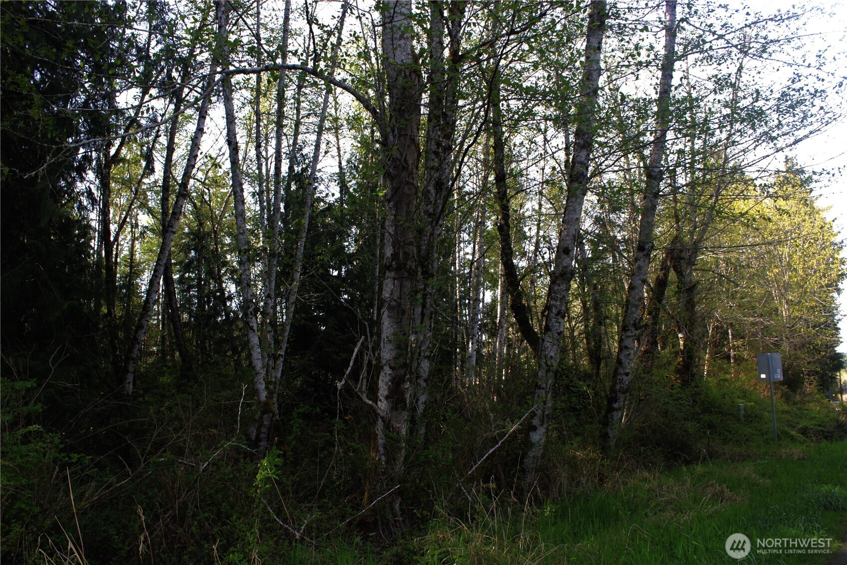 0 Go Onna Property Photo 4