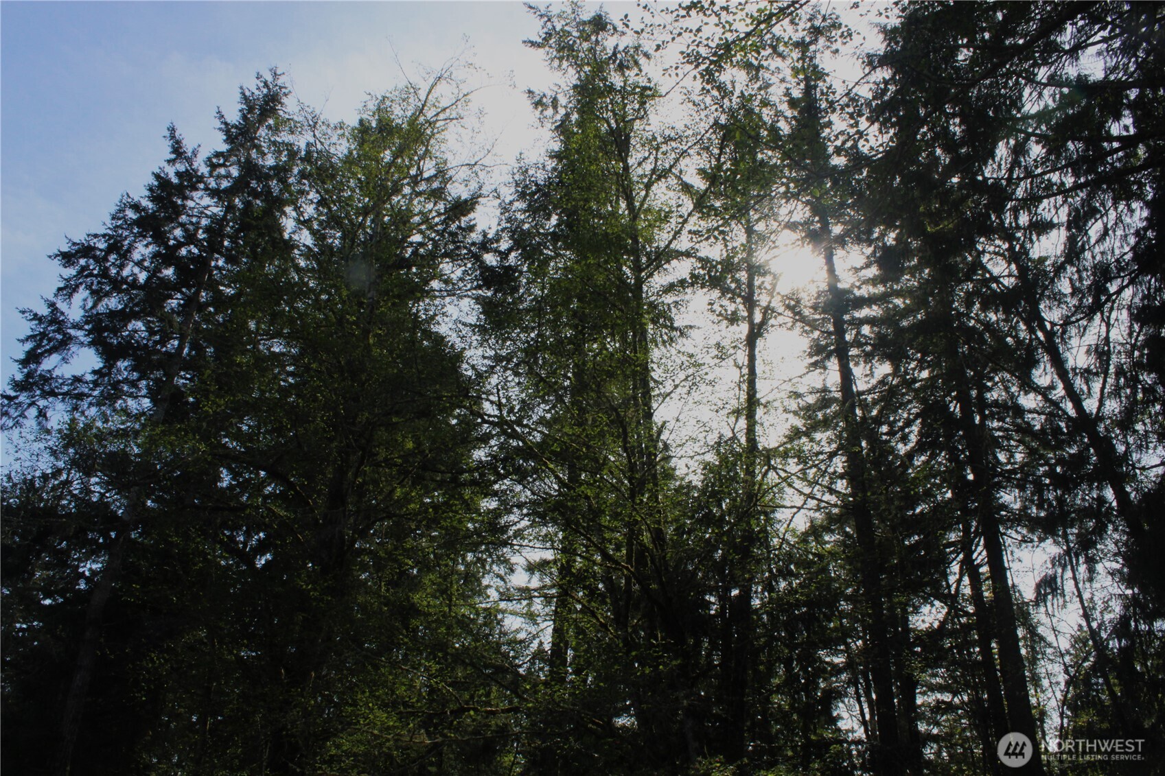 0 Go Onna Property Photo 5