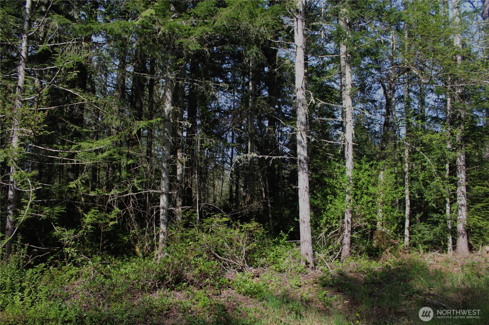 0 Go Onna Property Photo 6