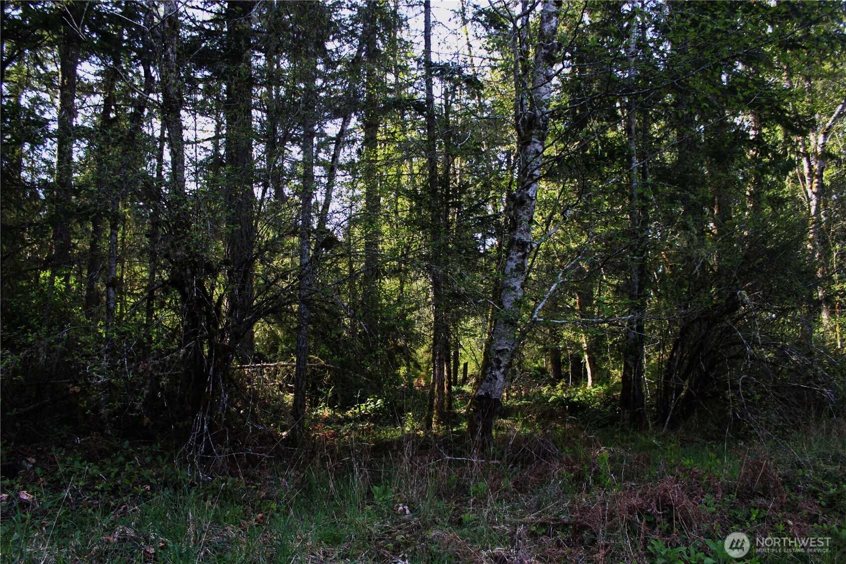 0 Go Onna Property Photo 8