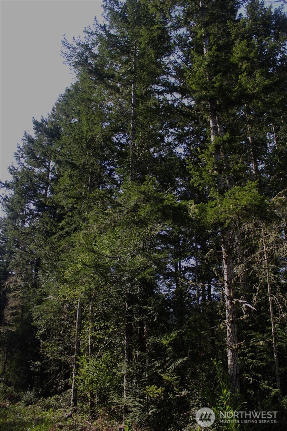0 Go Onna Property Photo 10