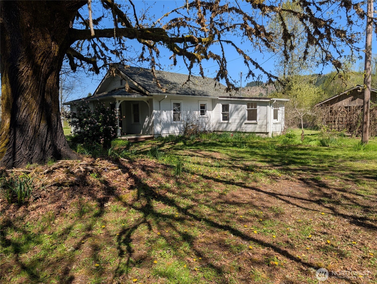 Boistfort Real Estate Listings Main Image