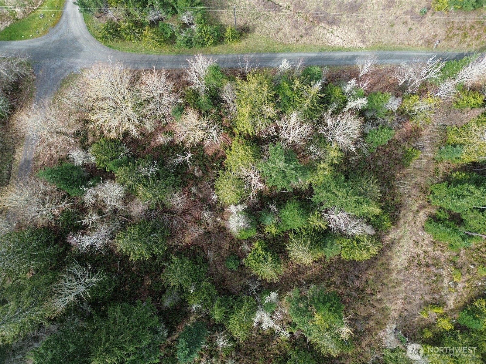0 Uphill Drive Property Photo 16