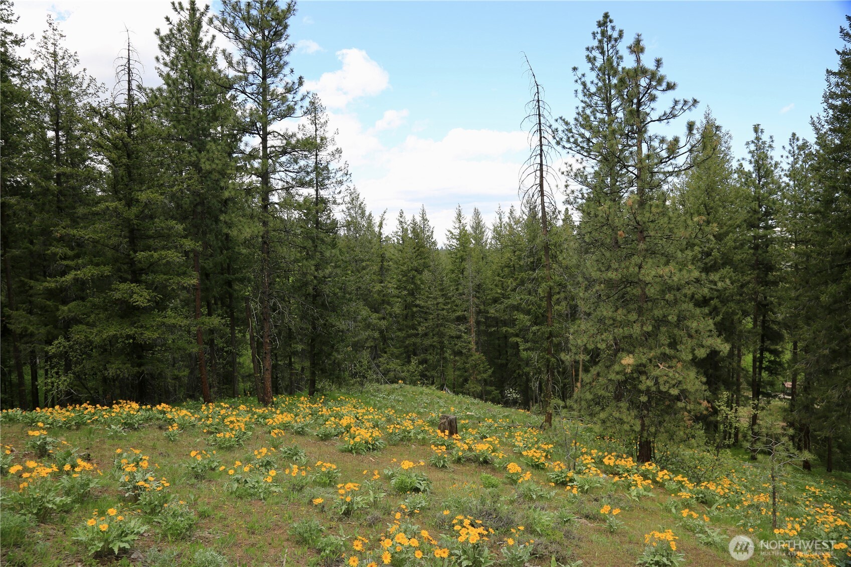 142 Red Pine Court Property Photo 2