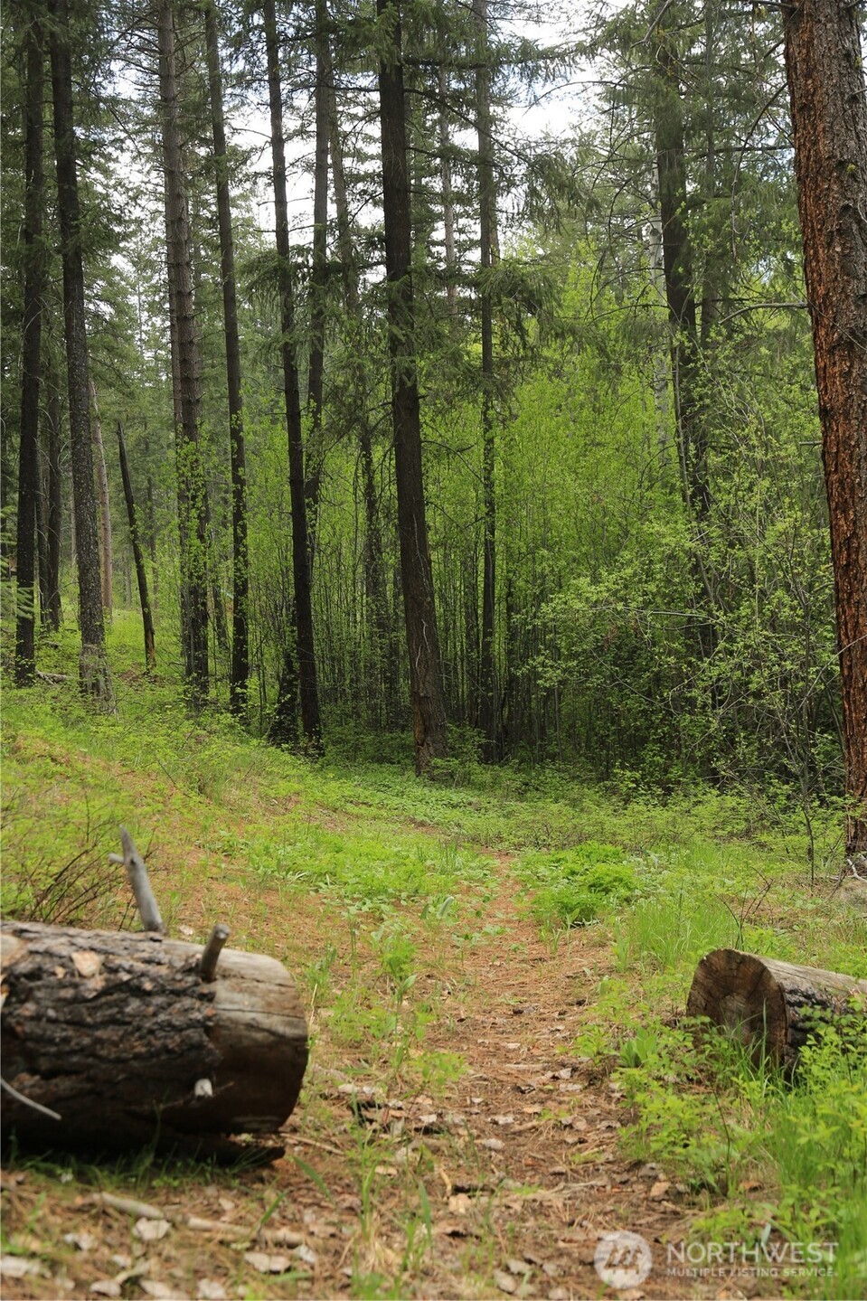 142 Red Pine Court Property Photo 7