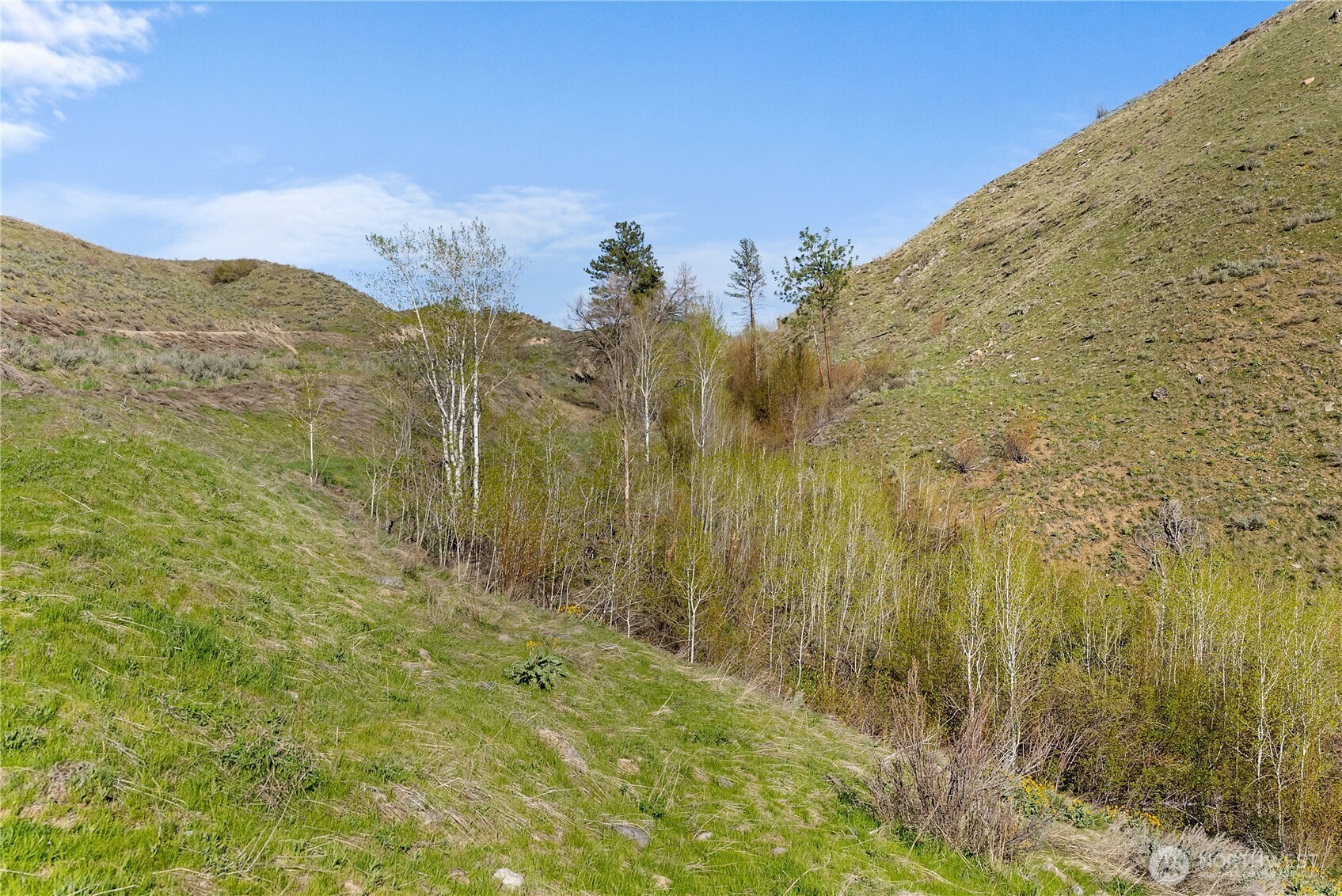 6 Cowboy Road Property Photo 2