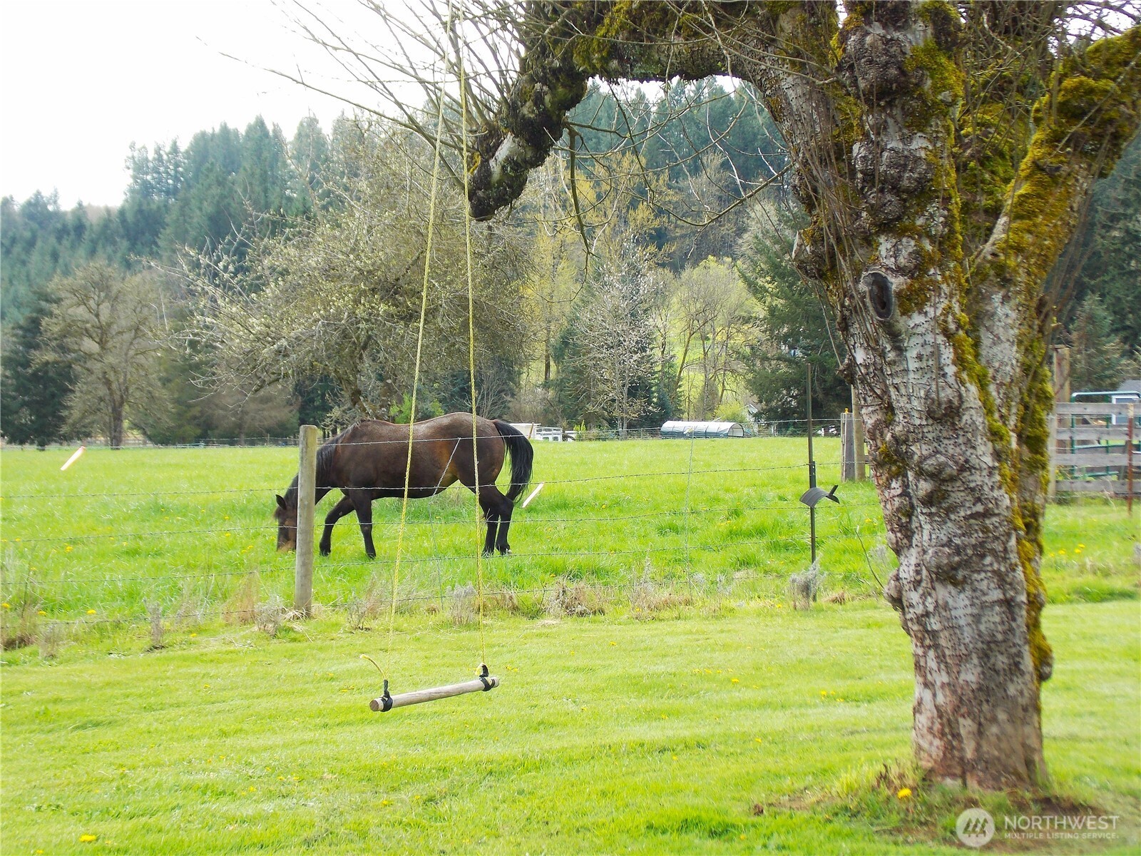 2958 Us Hwy 12 Property Photo 32
