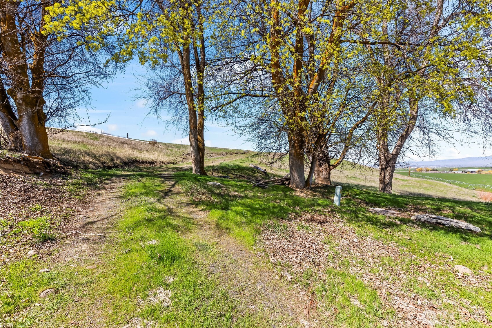 1 Rolling Hill Drive Property Photo 5
