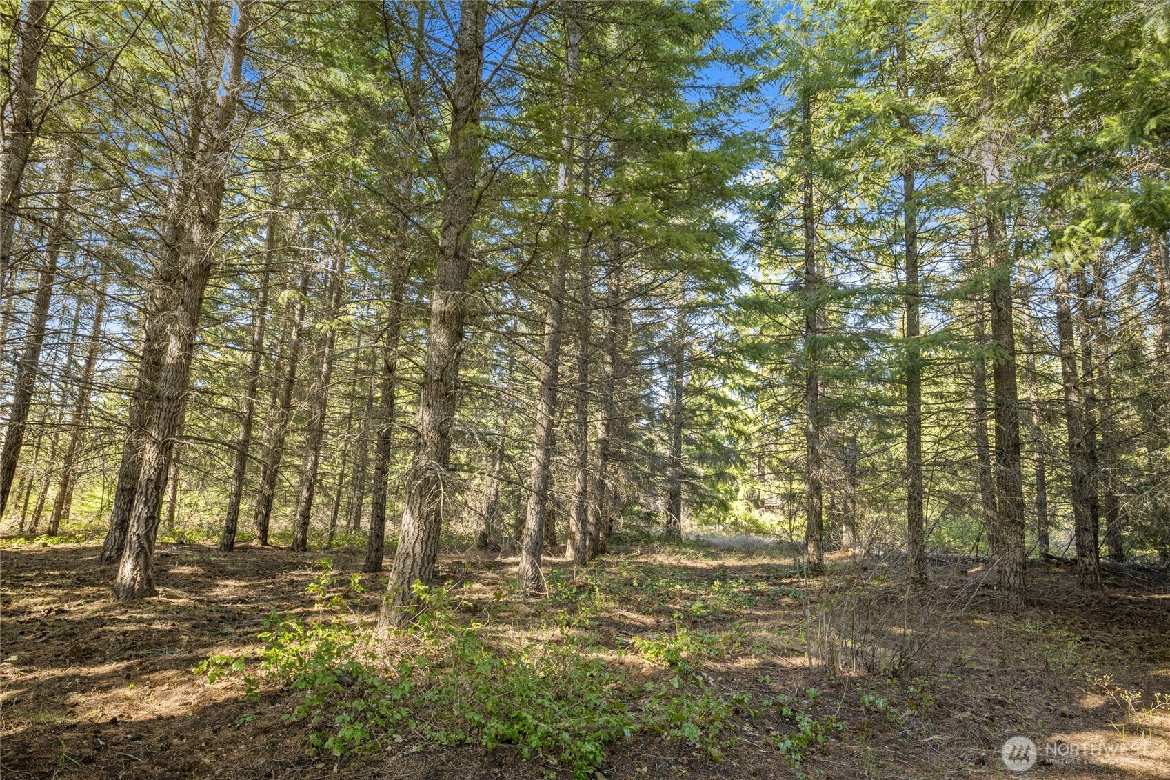 61 Morning Star Lane Property Photo