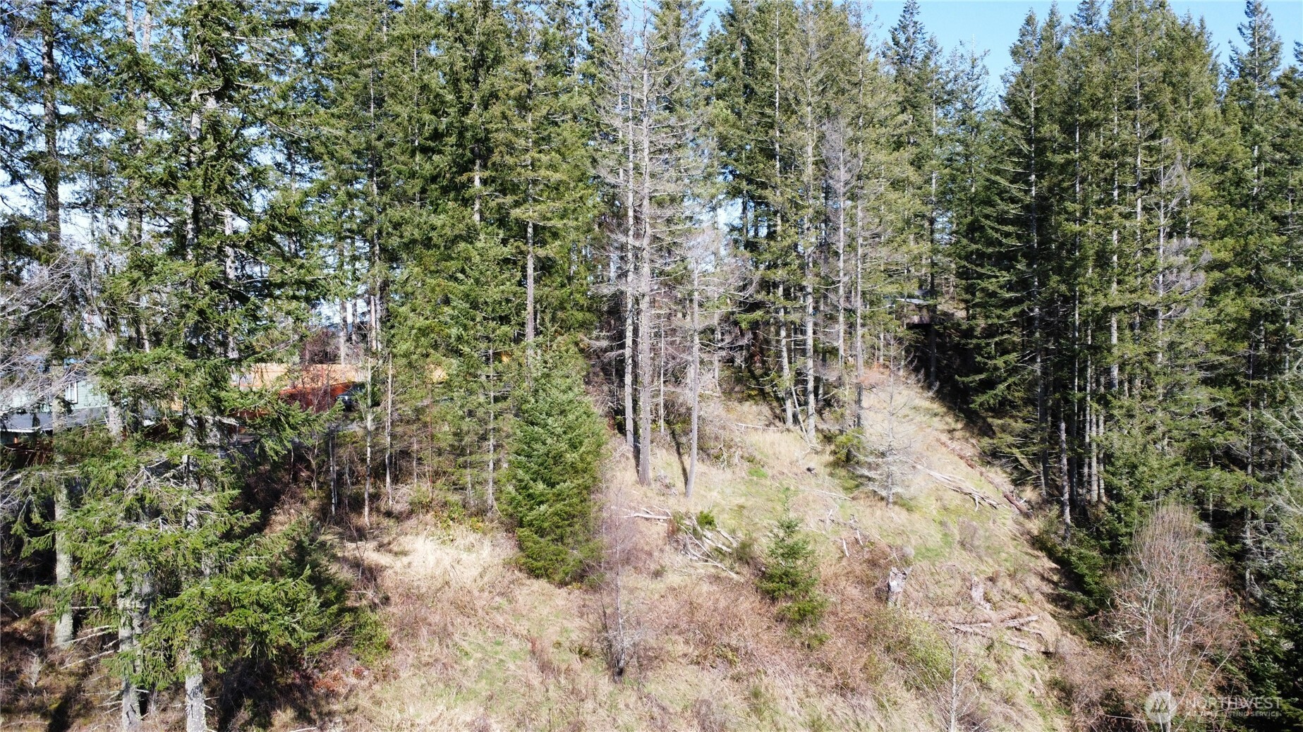 50215 146th Avenue Property Photo 2